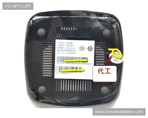 MG视讯安全可靠性分析，选择正规平台保障你的资金与个人信息安全