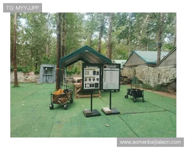 EVO真人娛樂場全面解析：打造最真实刺激的线上博彩体验