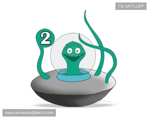 bob真人登录入口最新更新，提供稳定流畅的游戏体验和多样化的娱乐选择