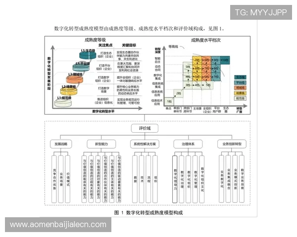 PA视讯集团在推动行业数字化转型中的关键作用与成功案例分享