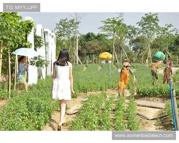 如何通过PS电子邮箱登录入口解决登录问题与账号安全保障措施