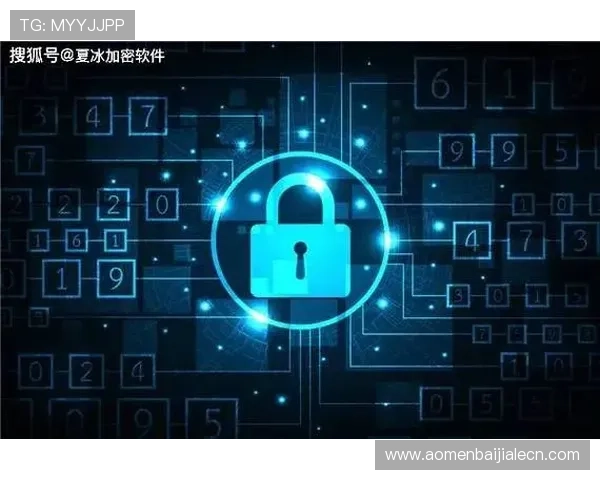 解析pa视讯厅官方网站的安全保障措施与数据加密技术