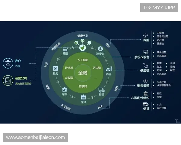 K8视讯是什么以及它的主要功能和优势详解